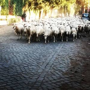 10578788_10152365591760047_1364601168_n