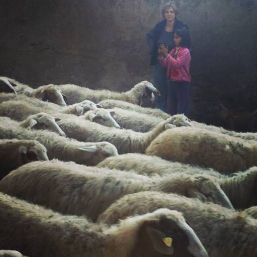 Regina viarum: Appia Antica con i&nbsp;bambini