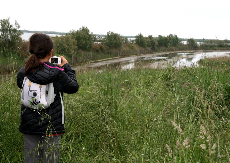 Idrovore e piante&nbsp;pioniere