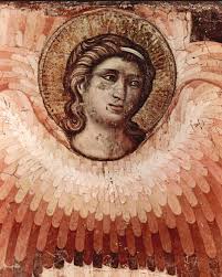 Non amo gli&nbsp;angeli