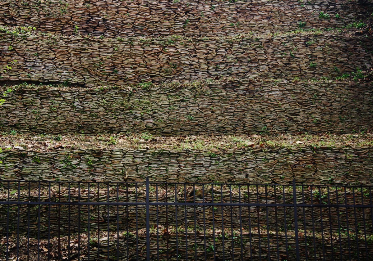 Roma è il mio&nbsp;luogo