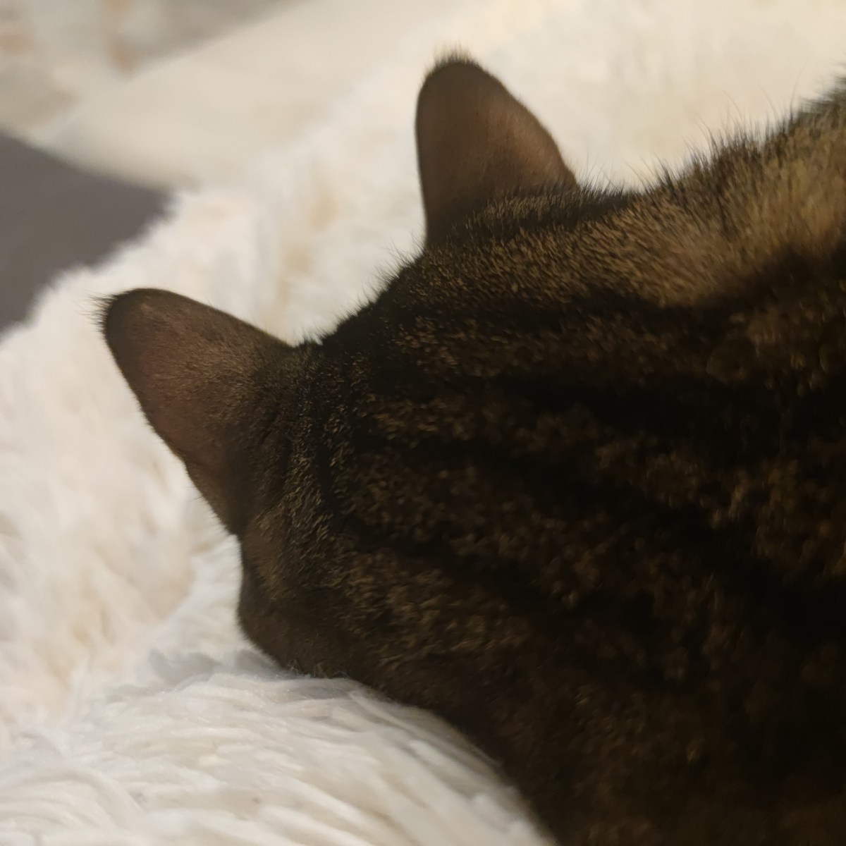 Cosa voglio fare da&nbsp;grande